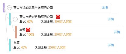 营口市滨城信息咨询服务公司 专业信息咨询，助力企业与个人决策